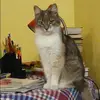Отзыв от Тамара Мельникова